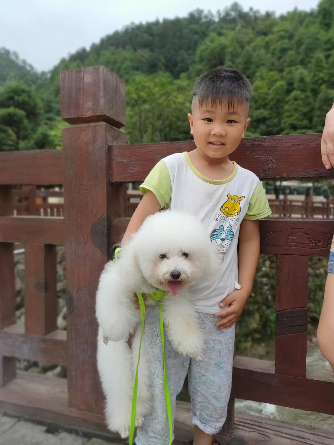 思健_